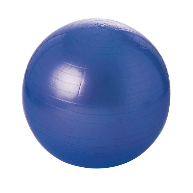 Balle gymnique swiss ball Balle gymnique swiss ball