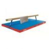 TAPIS SOUPLE MULTI USAGES DE GYMNASTIQUE 150X100X2CM | DIMASPORT