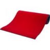 PISTE D'ÉVOLUTION MOQUETTE ENROULABLE 600X200X3.50CM