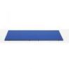 TATAMI JUDO ENTRAINEMENT 200X100X4CM - DIMASPORT