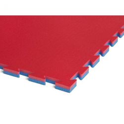 TATAMI MULTISPORT ARTS MARTIAUX BASIC 100X100X2.2CM - DIMASPORT