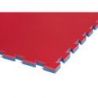 TATAMI MULTISPORT ARTS MARTIAUX BASIC 100X100X2.2CM - DIMASPORT