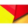 Tapis de lutte/judo college reversible