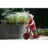 Draisienne 2-4 ans