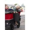 Poussette kiddy bus de luxe 4 places