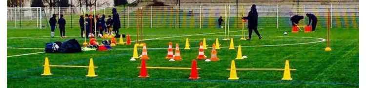 CONES, PLOTS ET MINI-HAIES