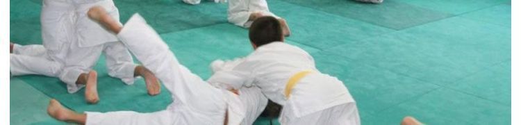TATAMIS