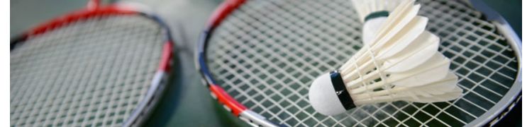 Badminton | Raquettes et volants pour clubs et associations
